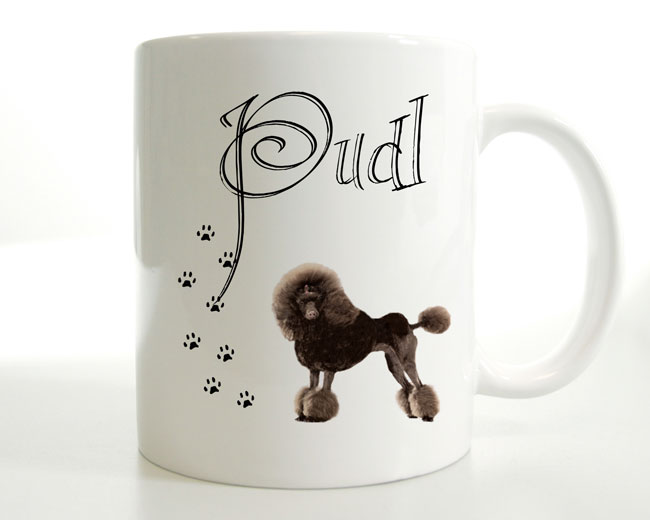 Pudl
